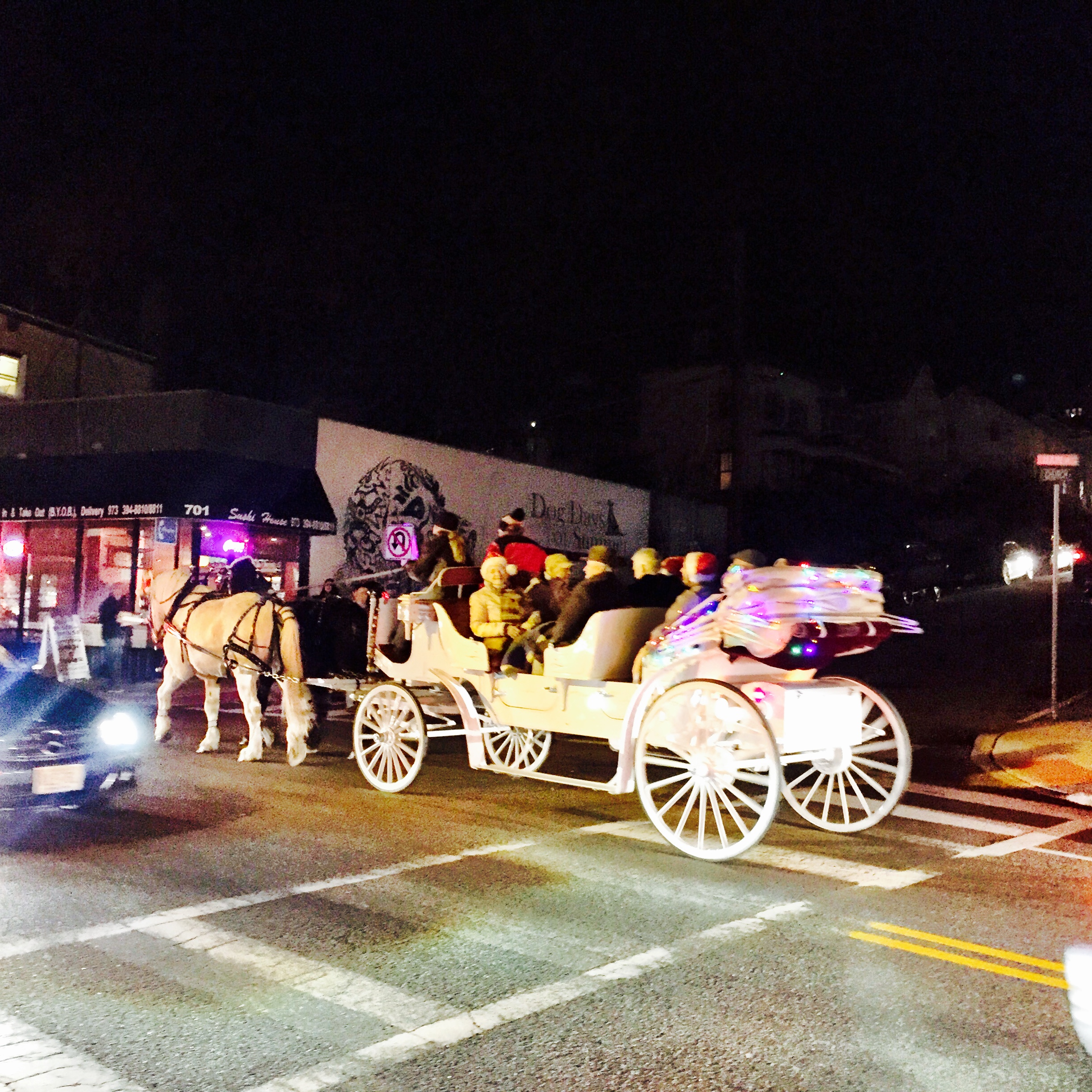 Horse Drawn Carriage